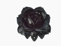Black Rose Vintage Pendant (1)