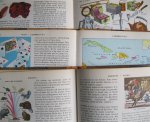 Vintage Children's Encyclopedia Pages (12)