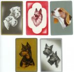 Vintage Playing Cards: Dogs (3)
