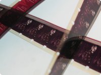 16mm Vintage Film Strip Ribbon (5 yd)