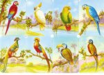 Vintage Tropical Birds Scrap Sheet