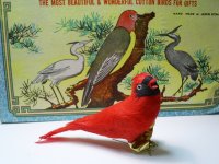 Vintage Cotton Cardinal (1)