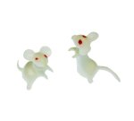 Little White Albino Mice Vintage Miniatures (2)
