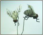 Large Fly on a Wire Pick (1)
