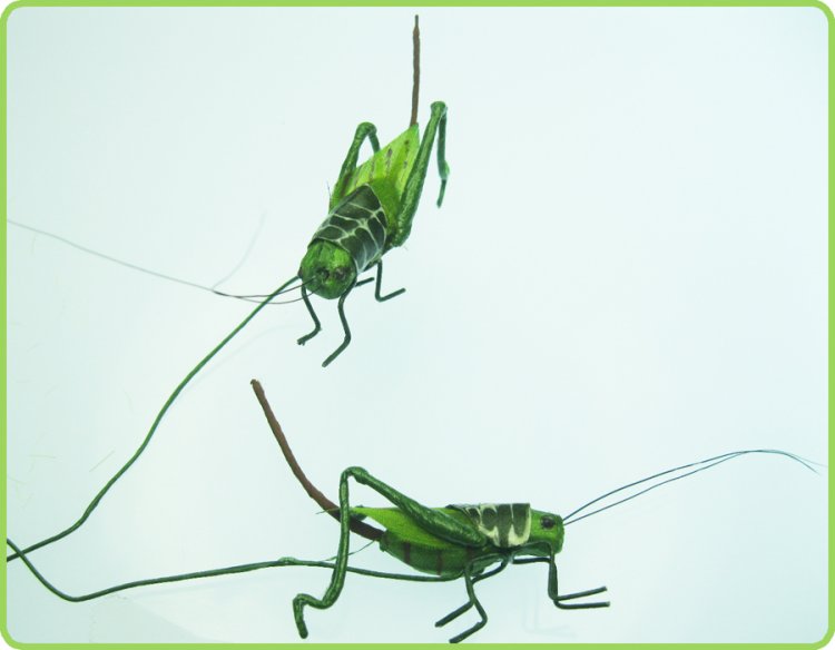 Grasshopper on a Wire Pick (1) - Click Image to Close