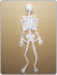 Jiggly Vintage Skeleton (1)