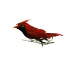 Feathered Vintage Cardinal Miniature (1)