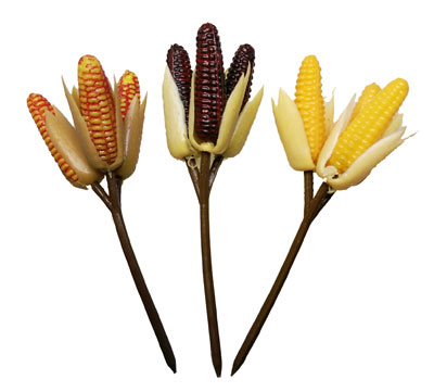 Assorted Fall Corn Cob Vintage Picks (3) - Click Image to Close